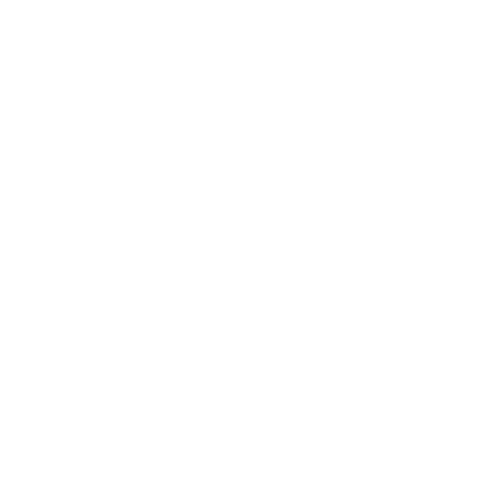 Mizola Global Sports